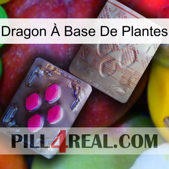Dragon À Base De Plantes 38